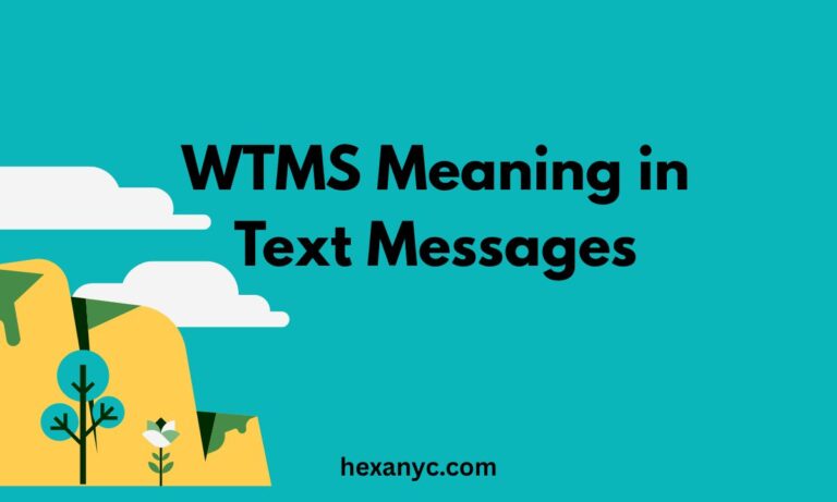 WTMS Meaning in Text Messages