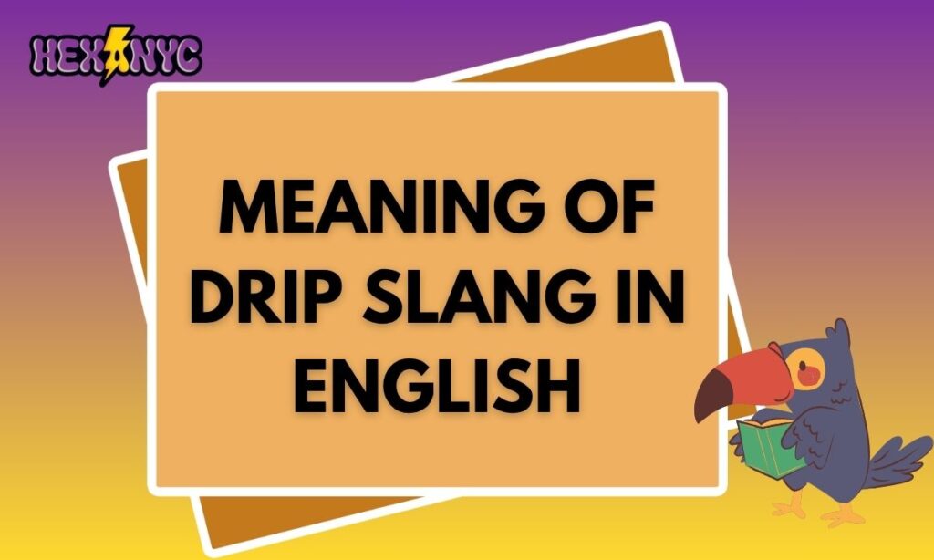 Meaning of Drip Slang in English 