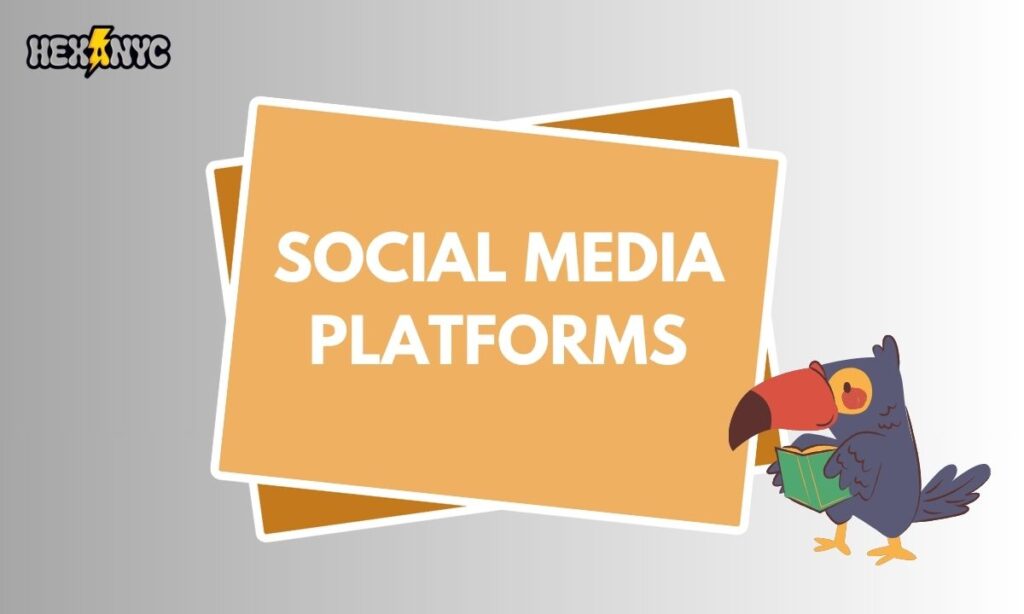 Social Media Platforms