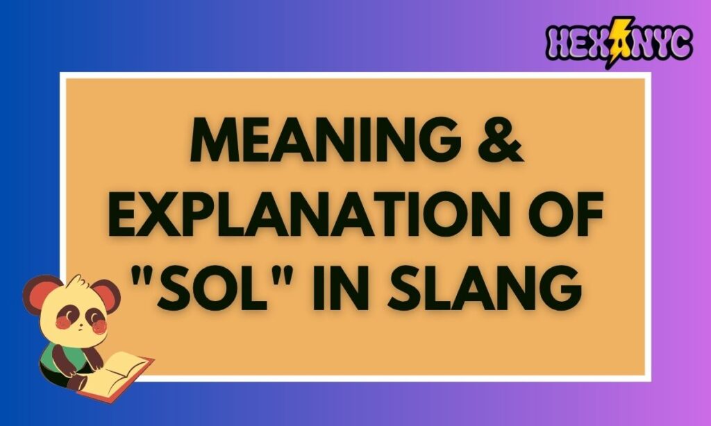 Meaning & Explanation of SOL in Slang