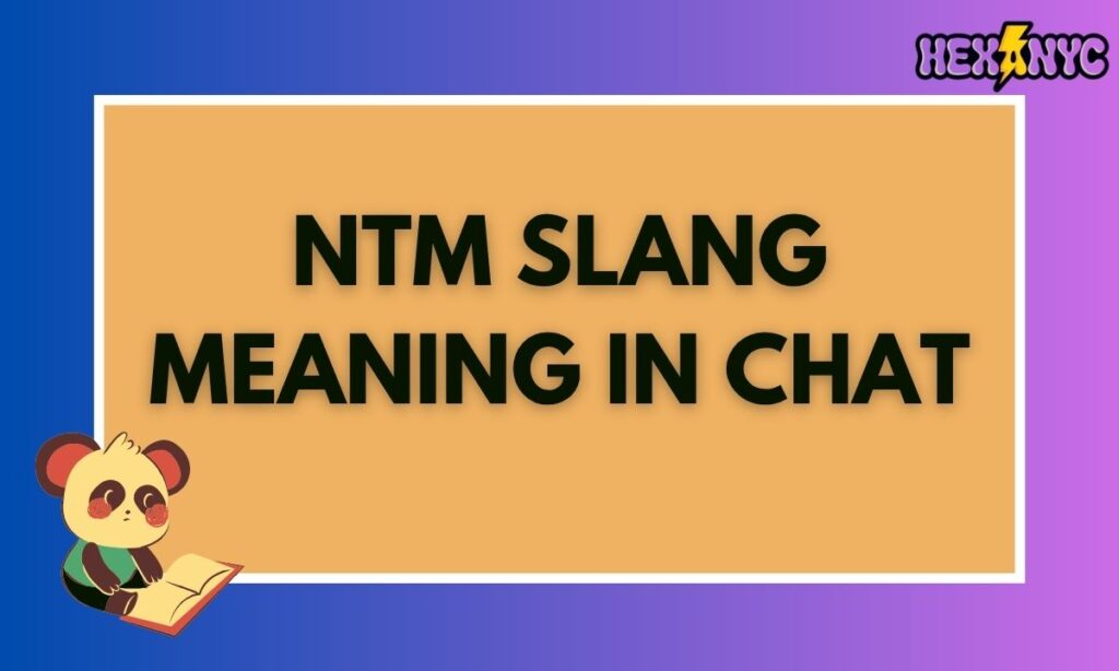 NTM Slang Meaning in Chat