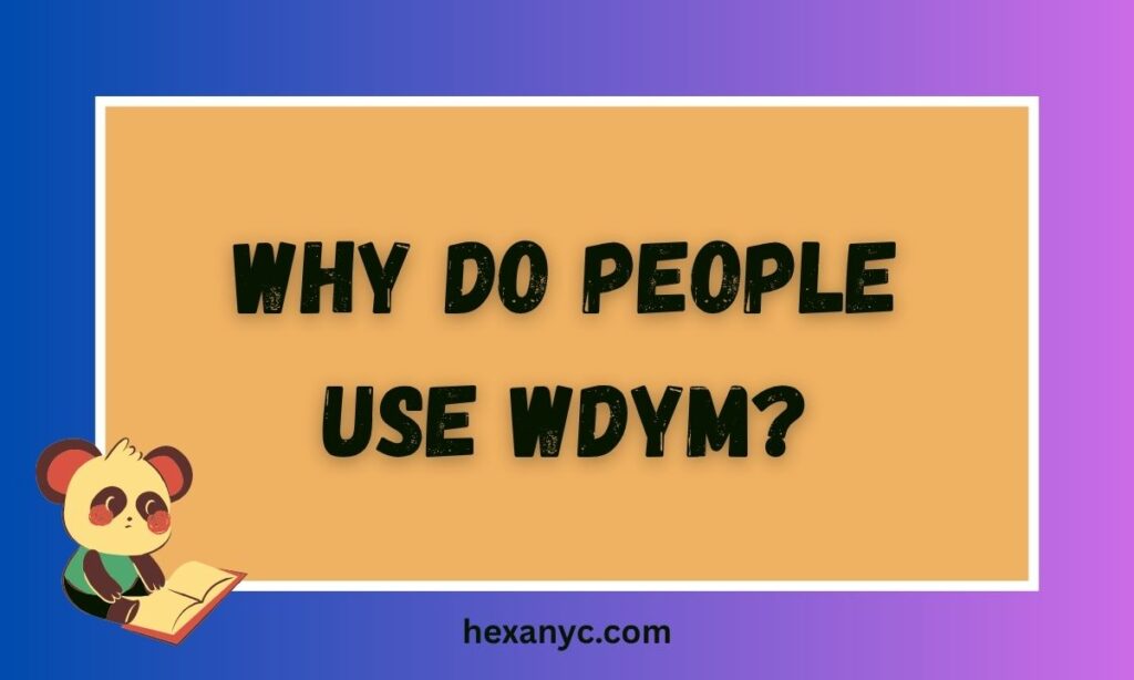 Why Do People Use WDYM